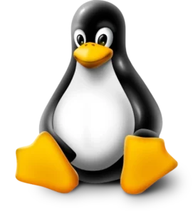 linux
